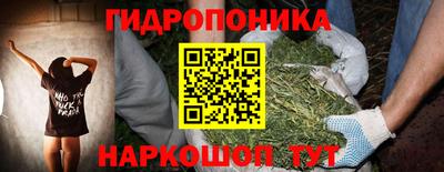 молекула духа Кулебаки