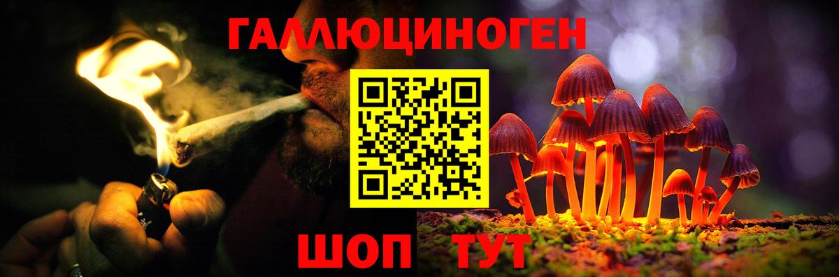 Галлюциногенные грибы Magic Shrooms  Вход с VPN  Галлюциногенные грибы прущие грибы  купить закладку  Ессентуки 